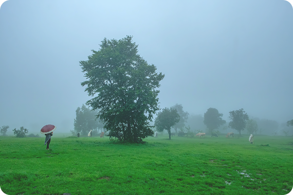 Coimbatore A Breath of Fresh Air