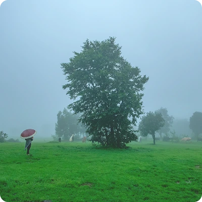 Blogs 4 Coimbatore - A Breath of Fresh Air