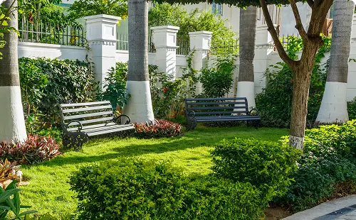 Explore 43 Luxury apartment for rent in coimbatore