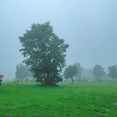 Coimbatore – A Breath of Fresh Air