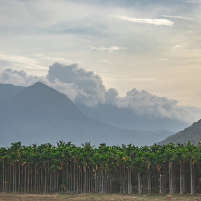 Coimbatore Living – Community, Culture & Comfort